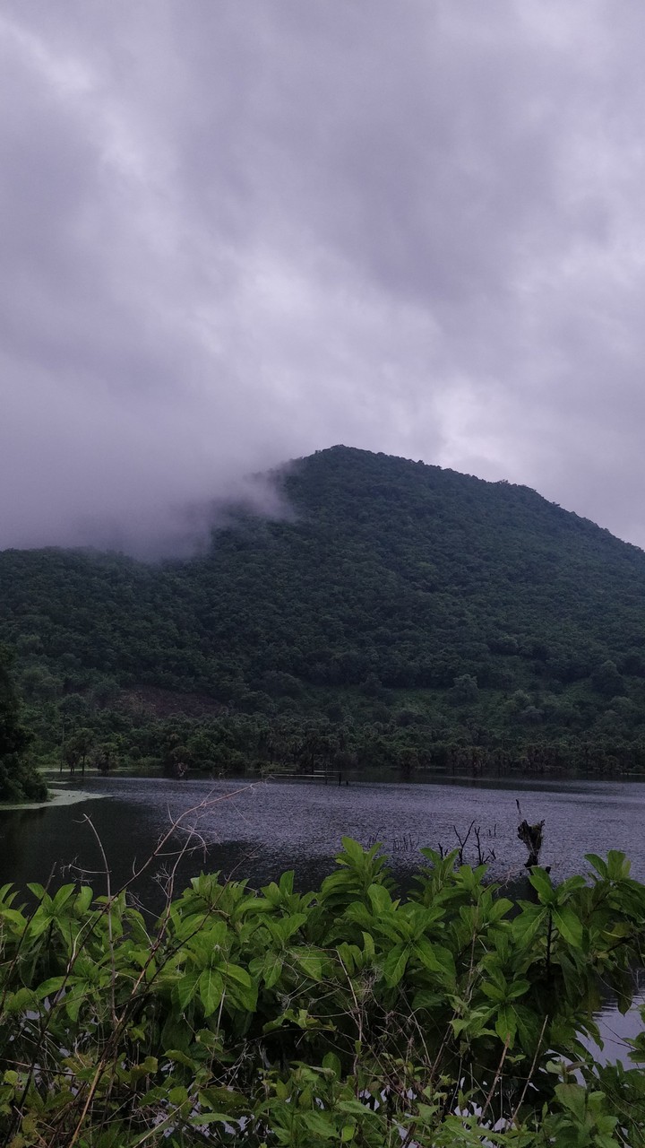 Rampachodavaram forest