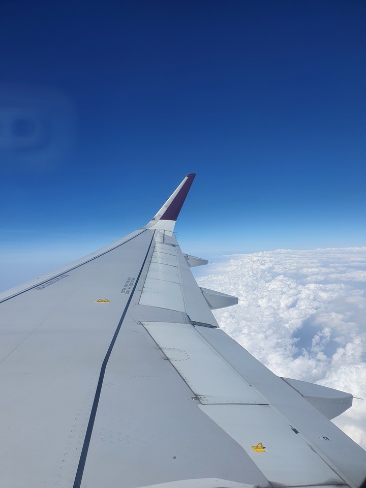airplane