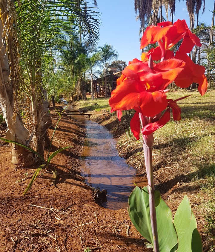 Fazenda