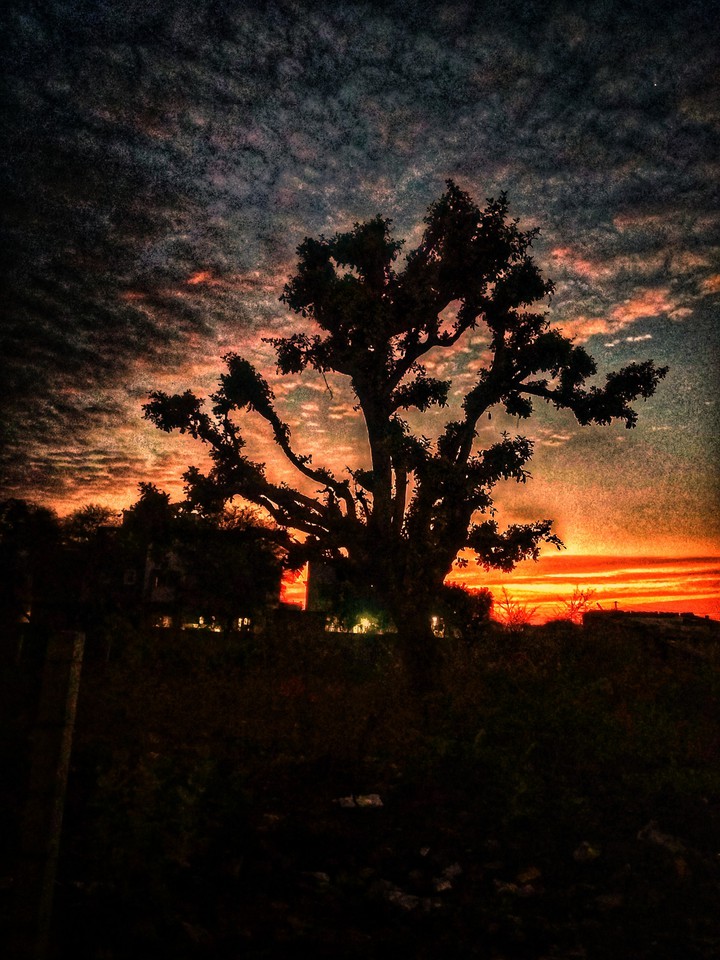 sunset