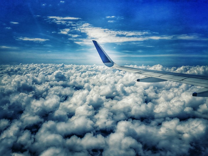 blue wing