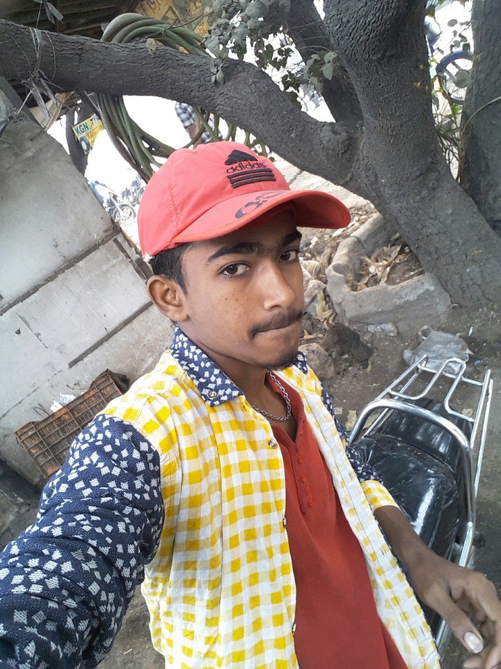 Sarfe Alam