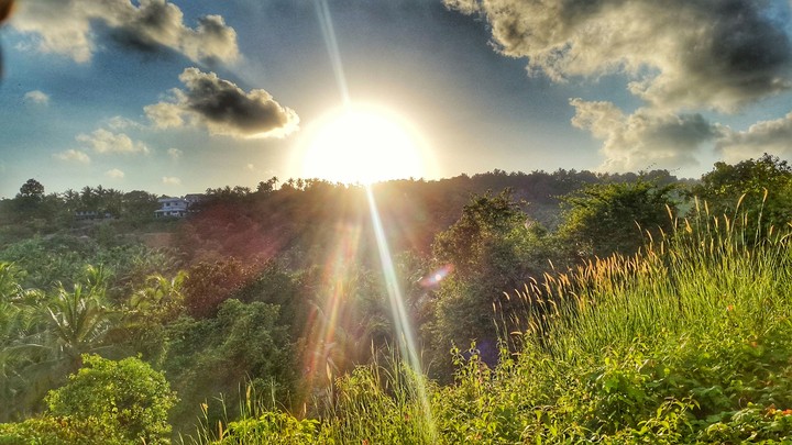 A Golden Evening