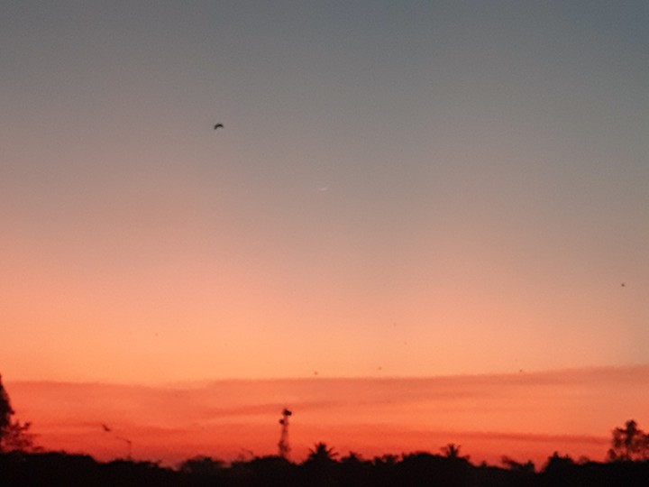 beautiful sunset