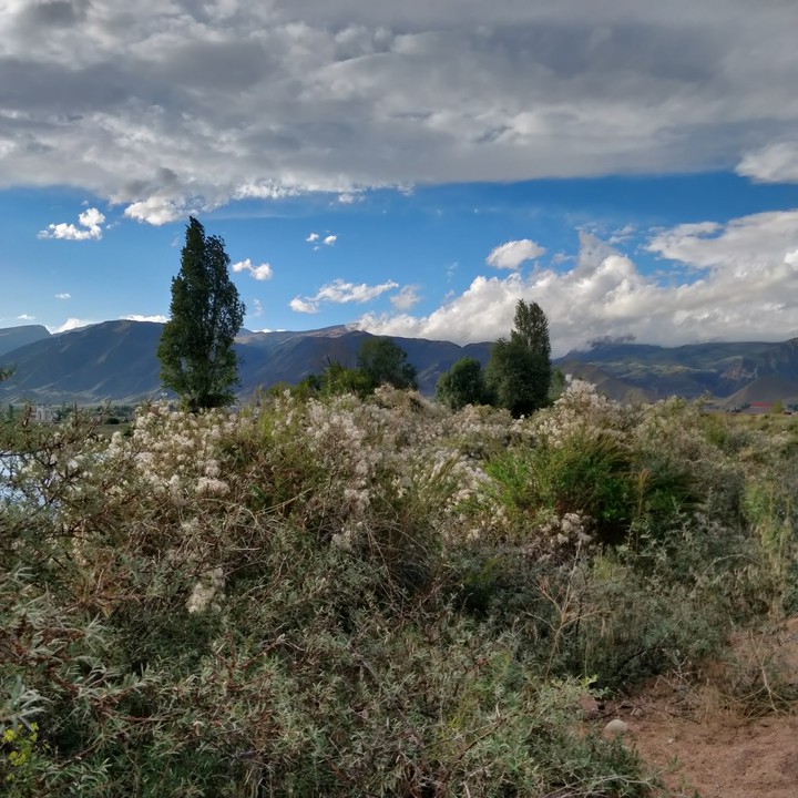 Issyk-Kul