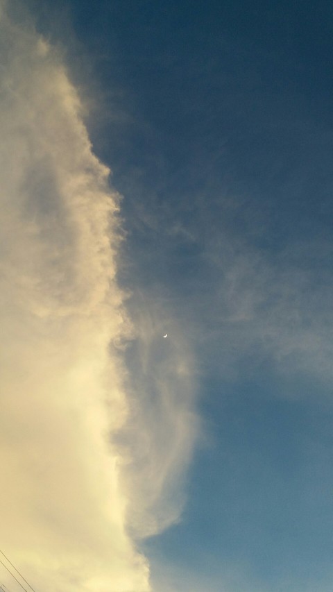 Moon