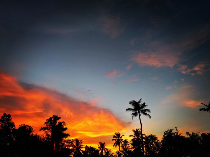 dawn