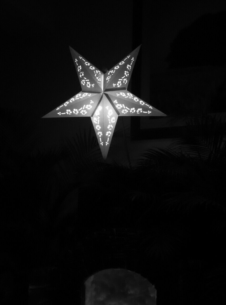 christmas star