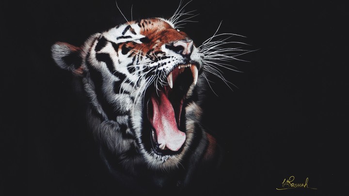 animal