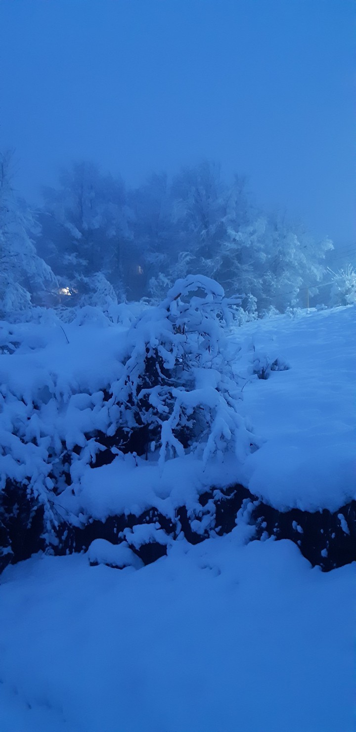 winter in sochi, evening's mood