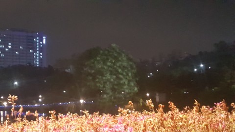 나무네