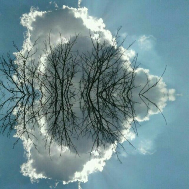 photo by reza yaghi