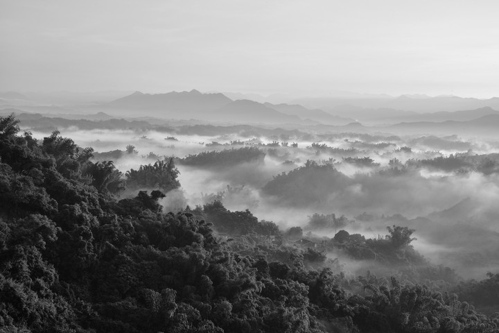 운해(雲海)