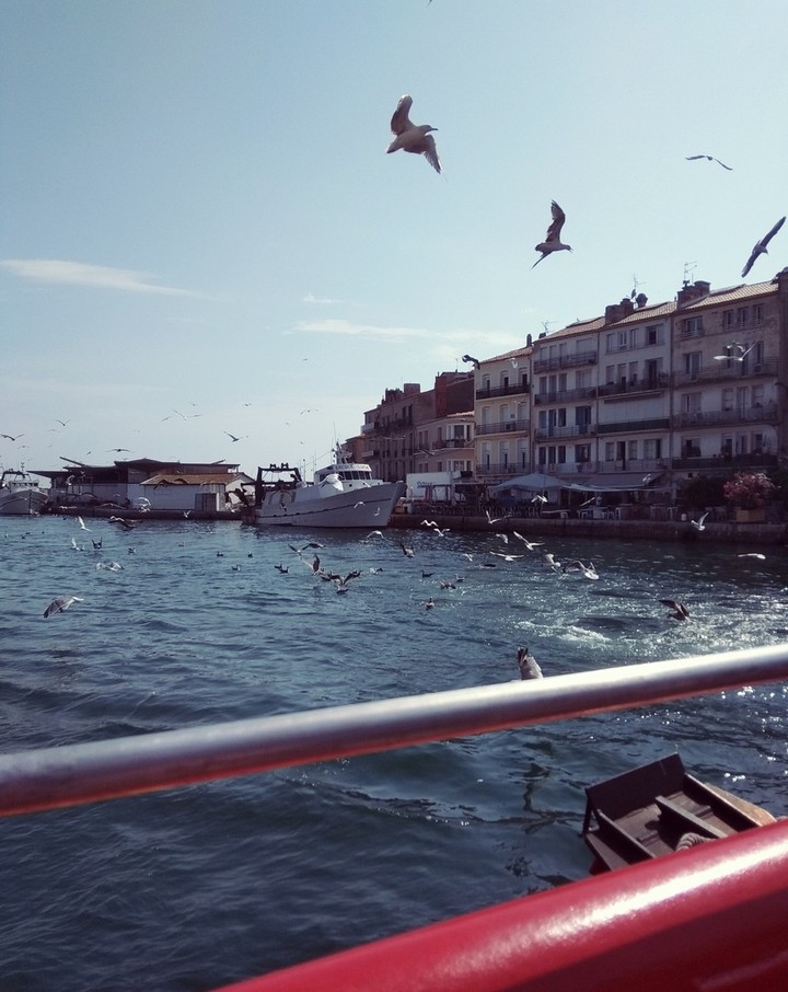 Photo de croisière à Sète