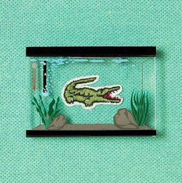 Lacoste