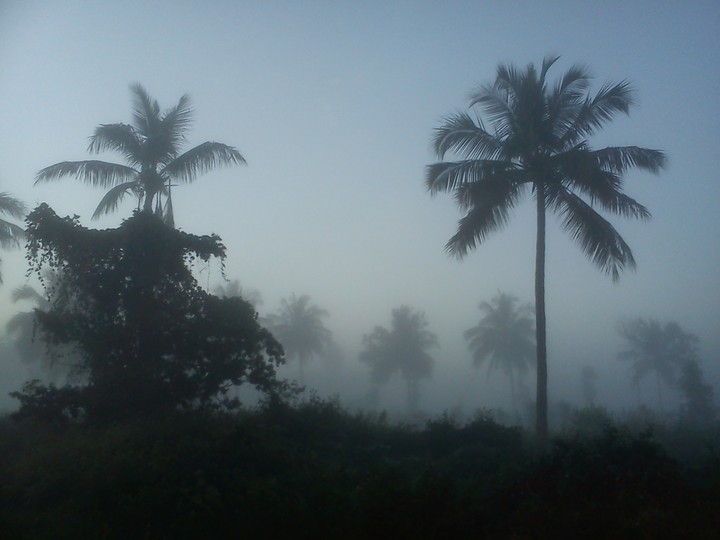 dream land