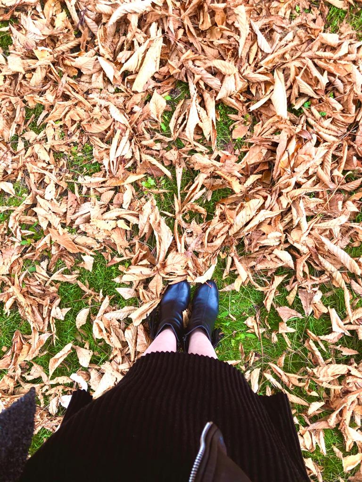autumn?