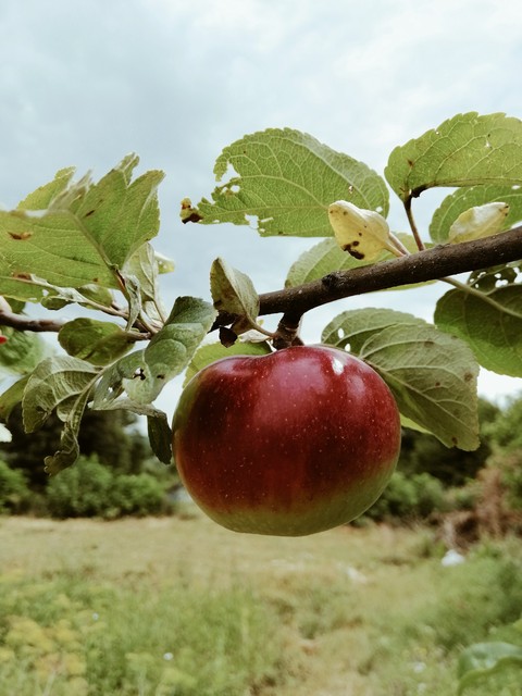 Nature♥️