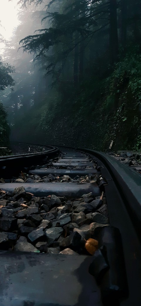 TRACKS UNFOLLOWED