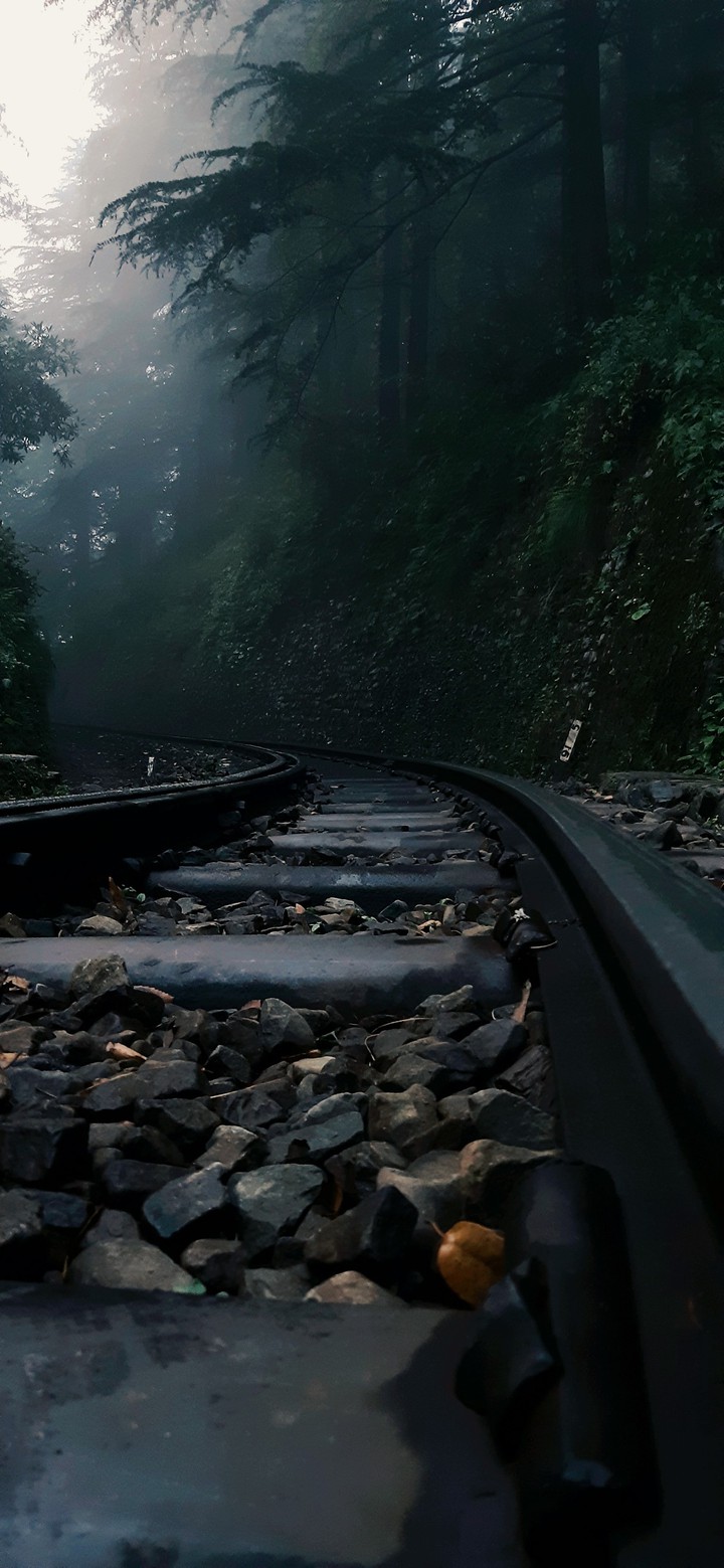 TRACKS UNFOLLOWED