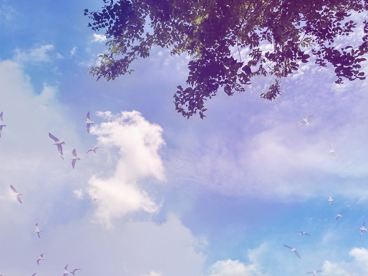 beautiful sky ❤