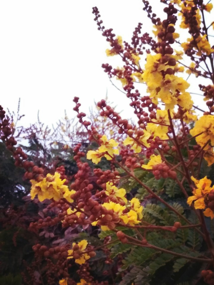 nature at its best