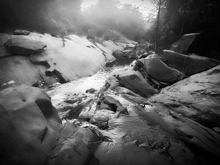 The Path