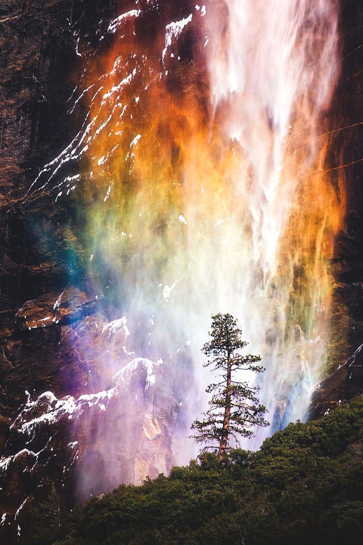 Yosemite National Park ♐