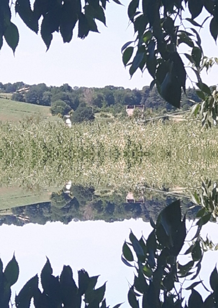 paesaggio di collina