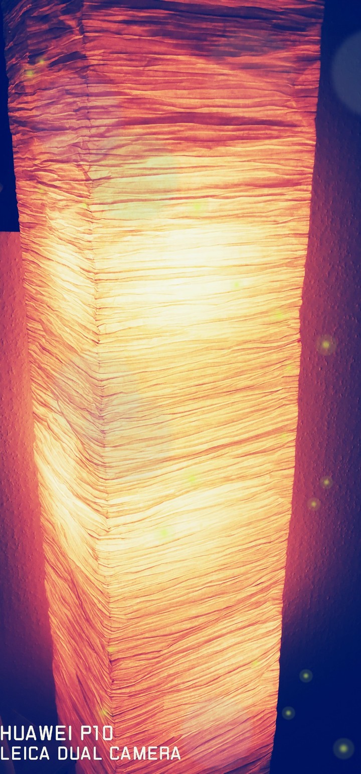 Spaceworm Lamp
