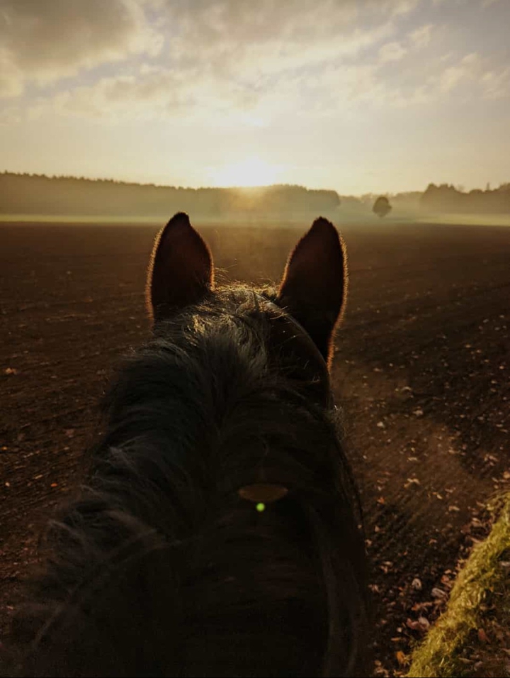 best view