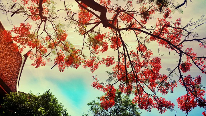 red in the sky.