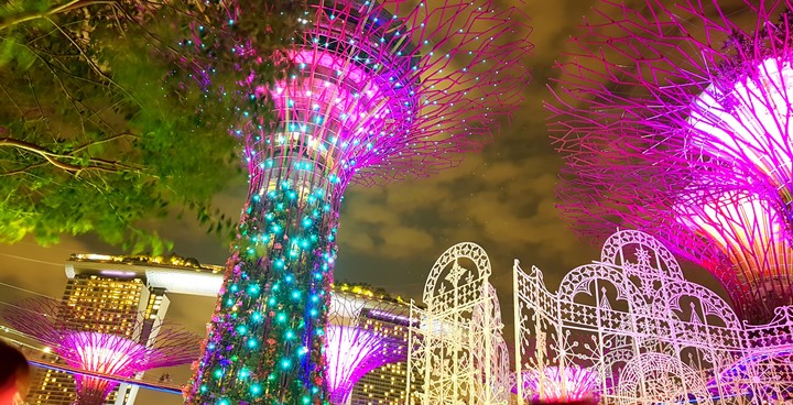 Singapore  night view