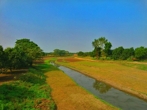 a beautiful nature