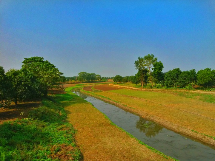 a beautiful nature