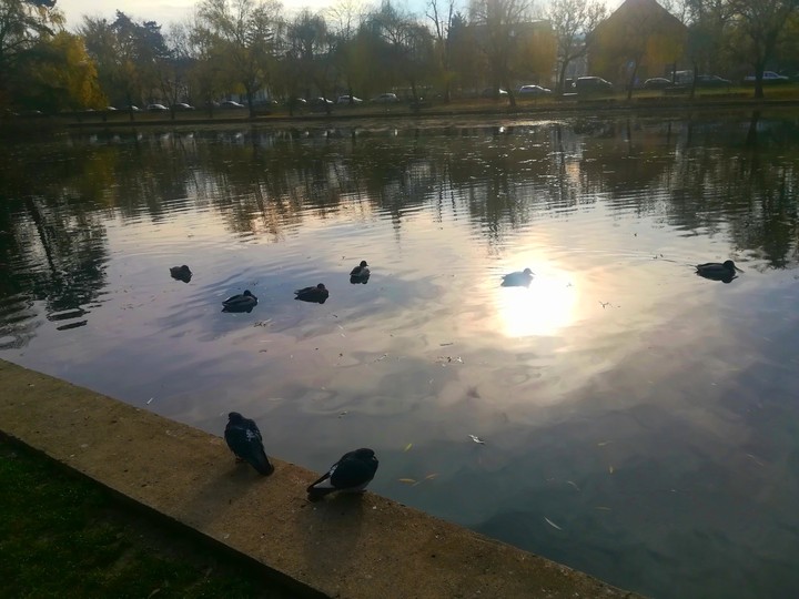 Sunny winter morning