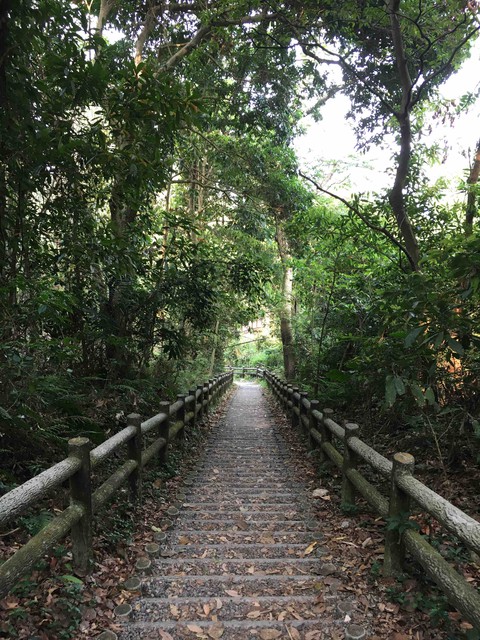 Mountain road