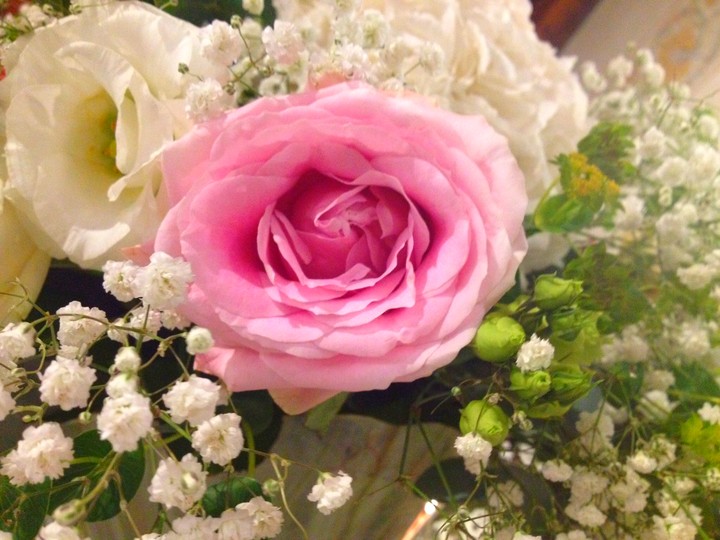 rose
