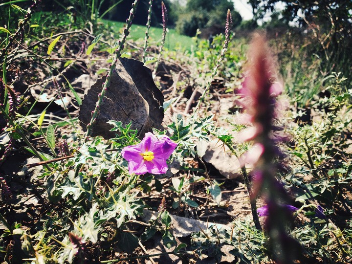 nature is beautiful in all aspects
