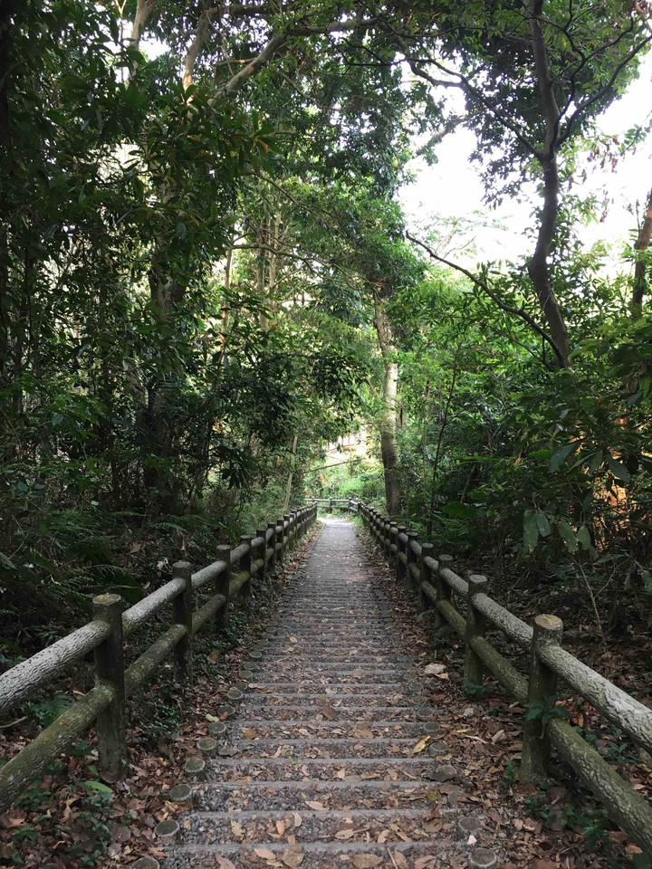 Mountain road