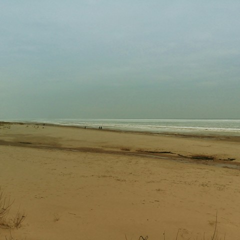 fondos de pantalla ecoregion, ocean