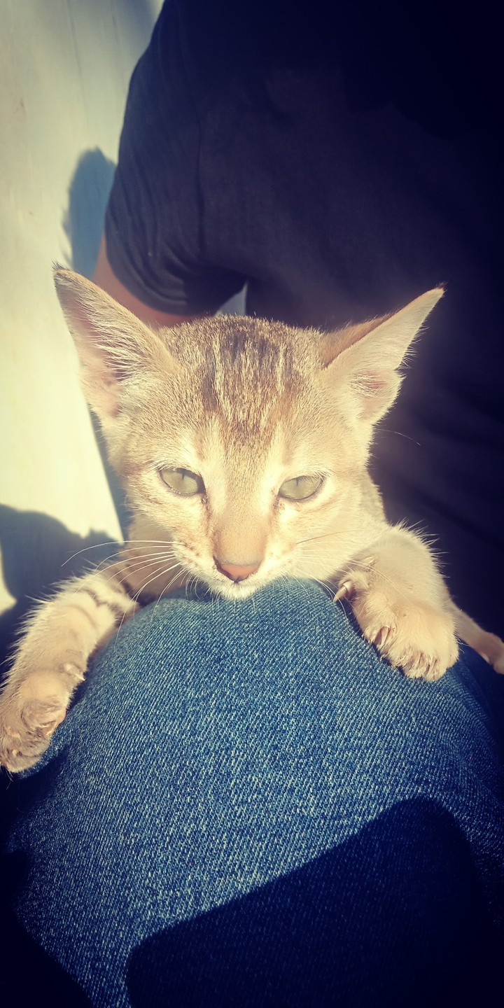 cute