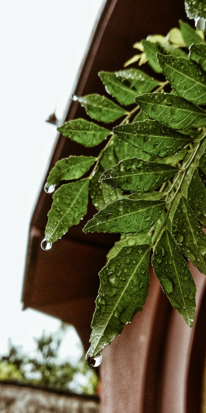 #Raindrops