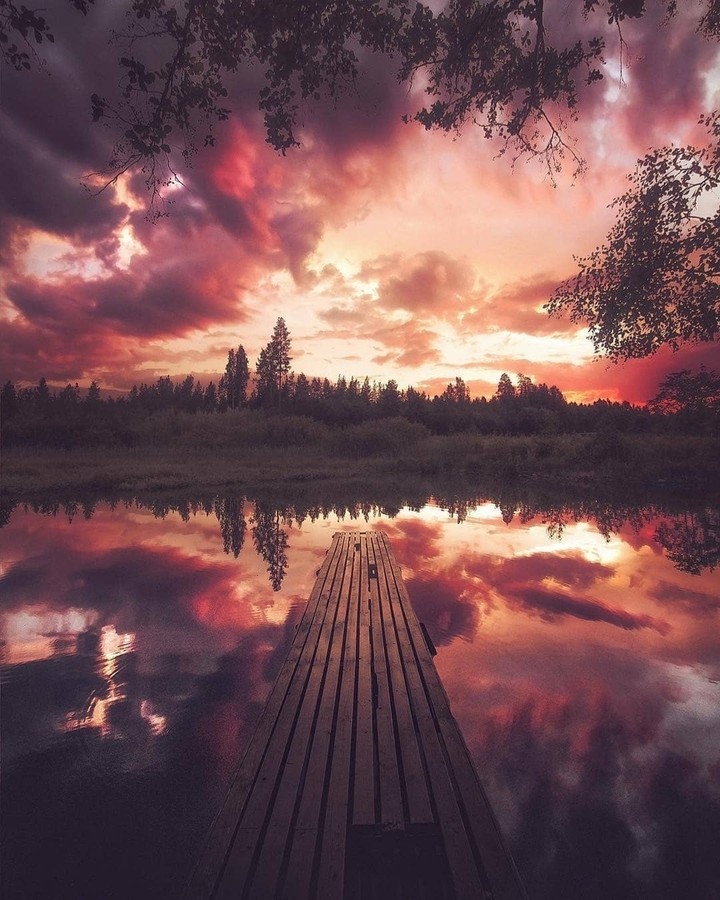 Beautiful Nature