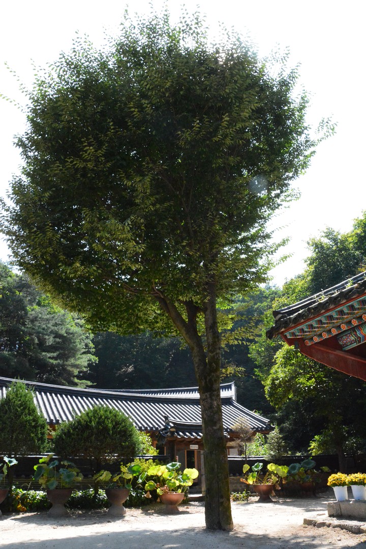 풍경이미지