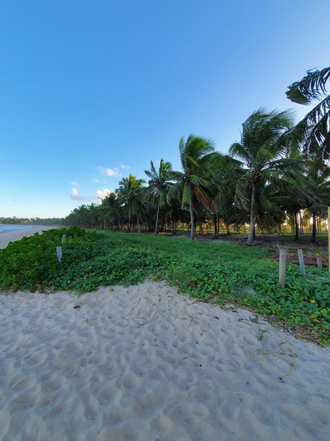 praia do paiva