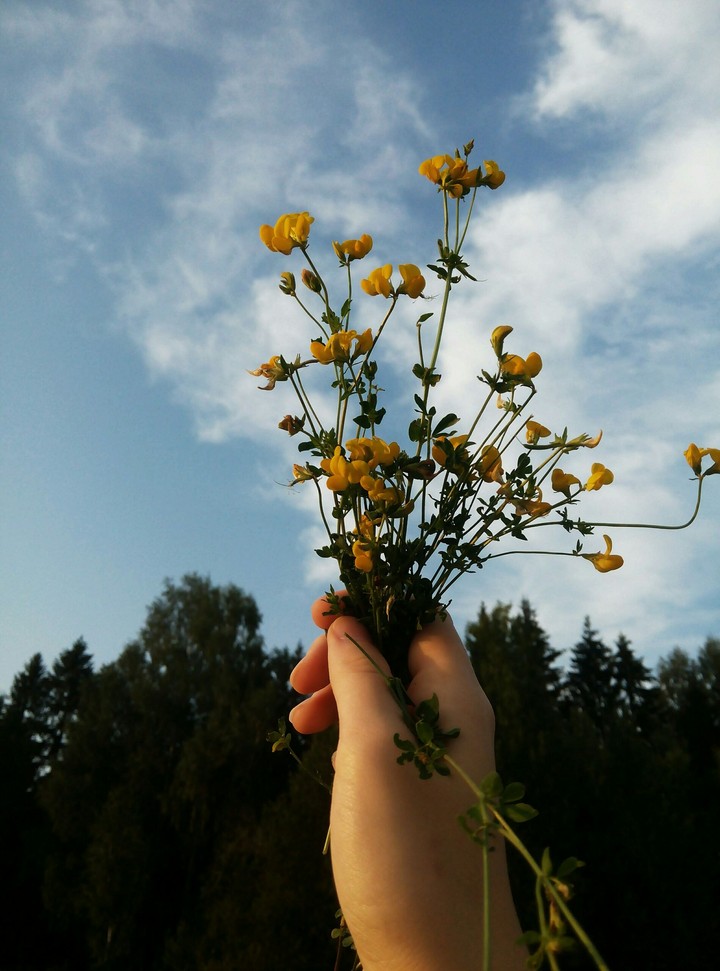 flowers