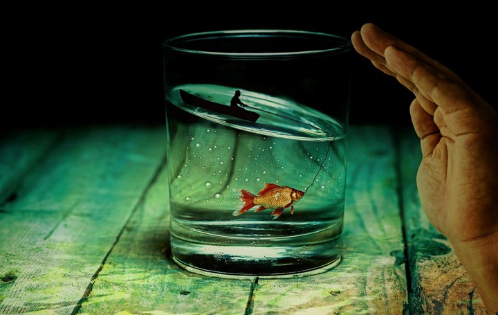 Fish Glass