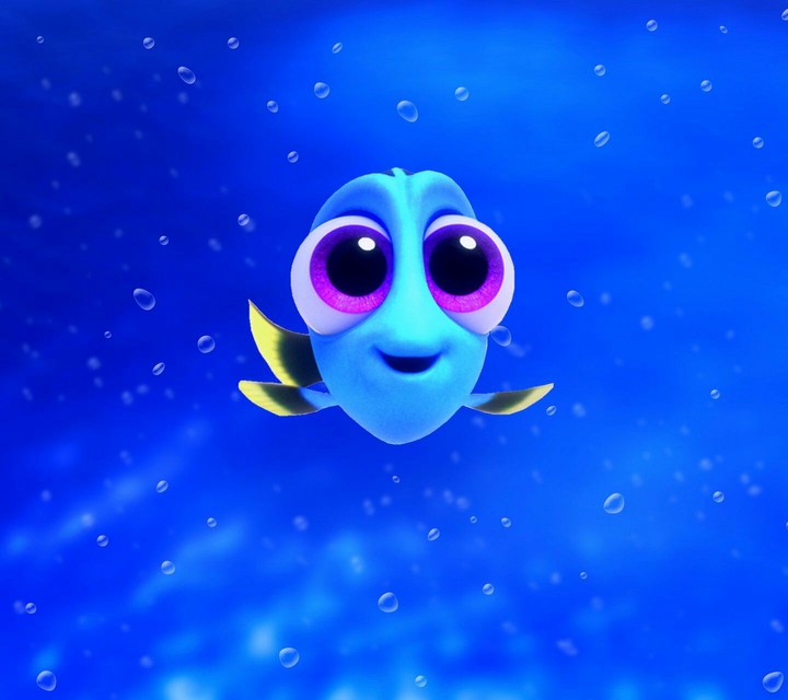 Dory