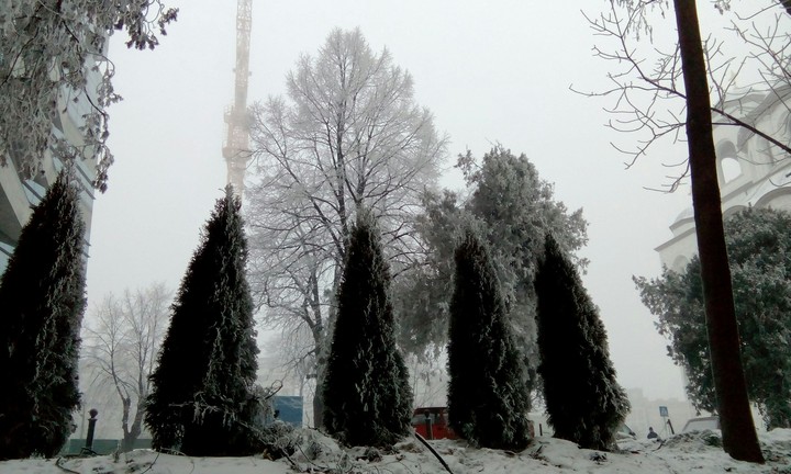Beograd
